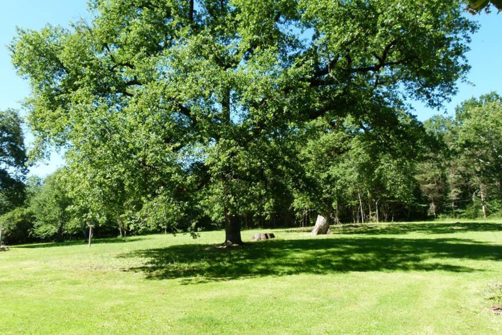 Gite En Brenne Les Chenes Merigny Esterno foto